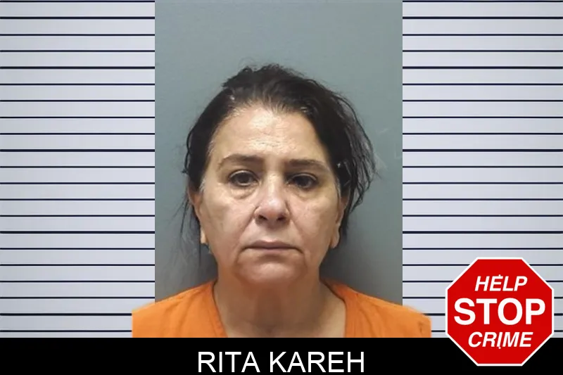Rita Kareh mugshot