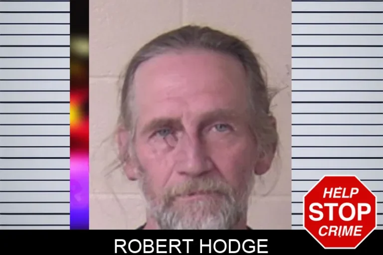 Robert Hodge