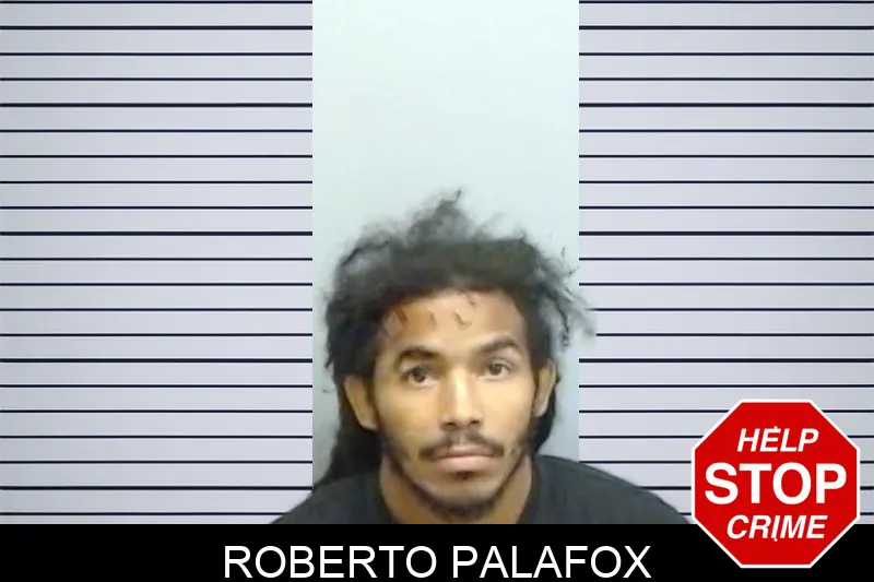 Roberto Palafox Mugshots