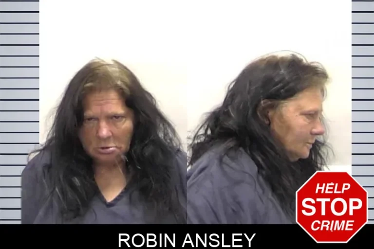 Robin Ansley