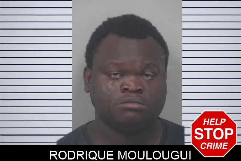 Rodrique Moulougui Mugshots