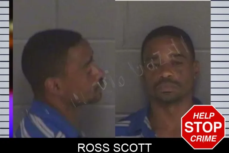 Ross Scott