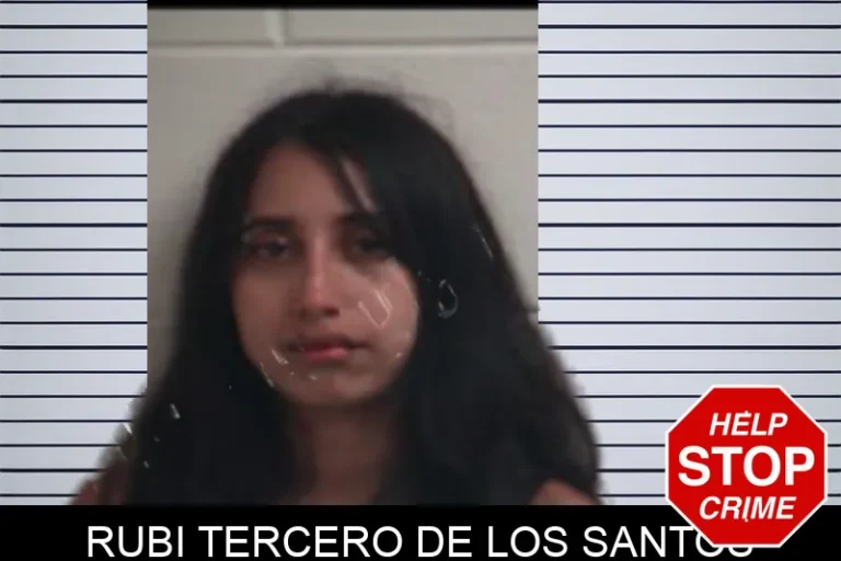 Rubi Tercero De Los Santos mugshot – Henry County , Georgia Rubi Tercero De Los Santos