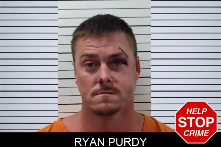 Ryan Purdy