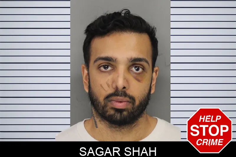 Sagar Shah Mugshots