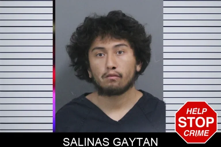 Salinas Gaytan