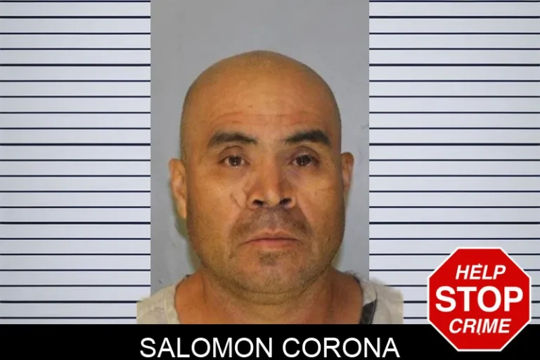 Salomon Corona
