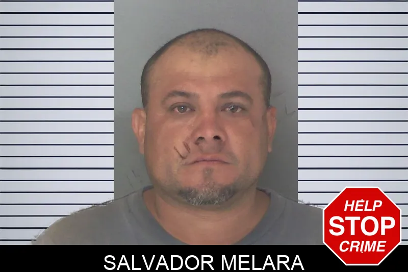 Salvador Melara Mugshots