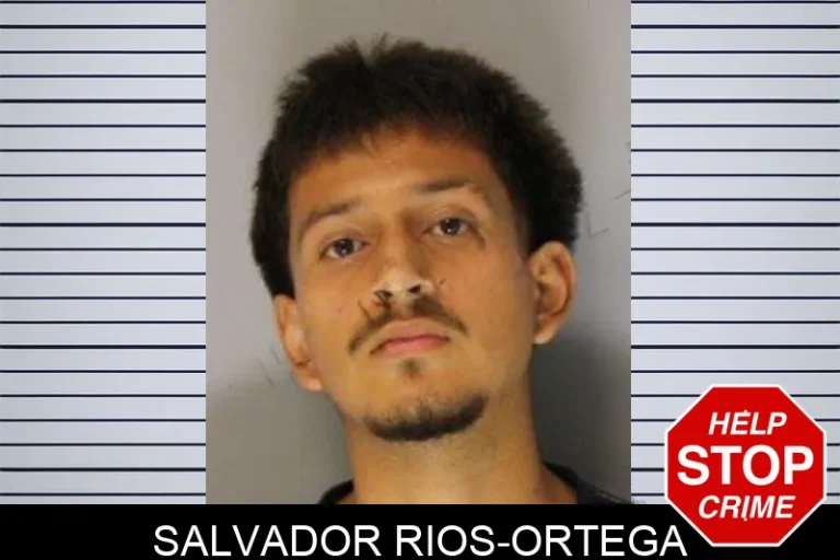 Salvador Rios-Ortega mugshot – Hall County , Georgia Salvador Rios-Ortega