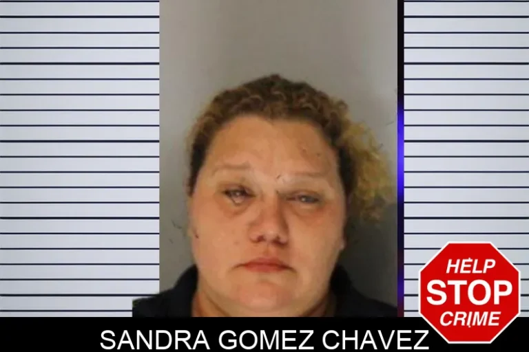 Sandra Gomez Chavez mugshot – Hall County , Georgia Sandra Gomez Chavez