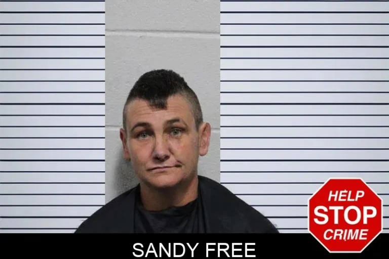 Sandy Free