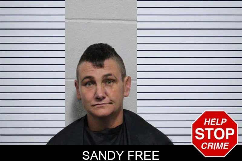 Sandy Free Mugshots