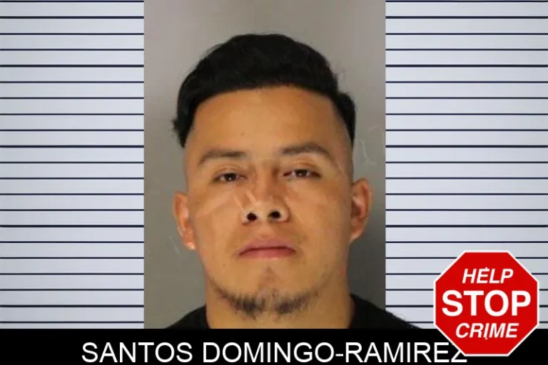 Santos Domingo-Ramirez