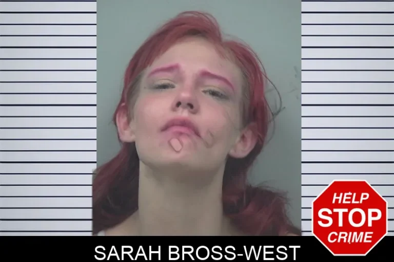 Sarah Bross-West mugshot – Gwinnett County , Georgia Sarah Bross-West