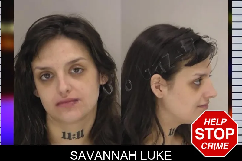 Savannah Luke Mugshots