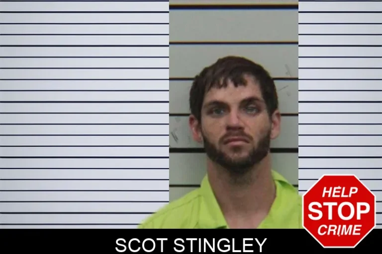 Scot Stingley