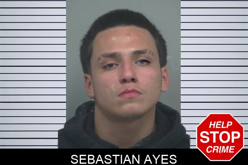 Sebastian Ayes Mugshots