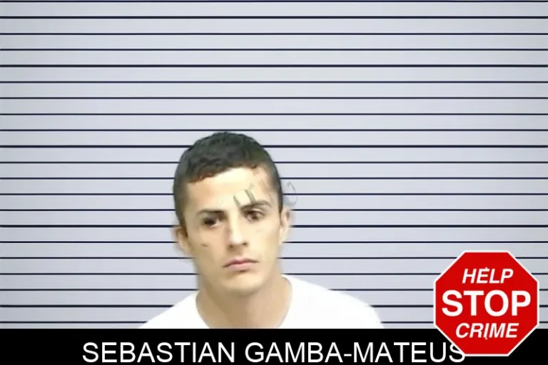 Sebastian Gamba-Mateus