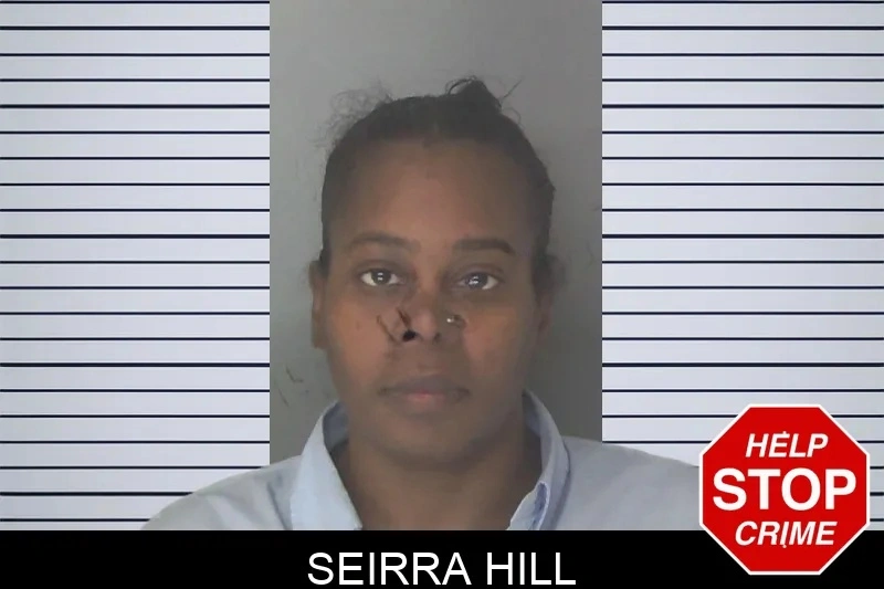 Seirra Hill Mugshots