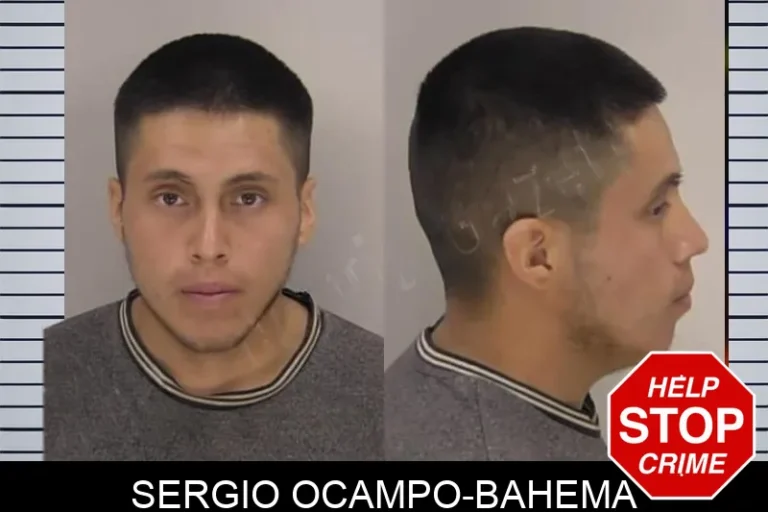Sergio Ocampo-Bahema
