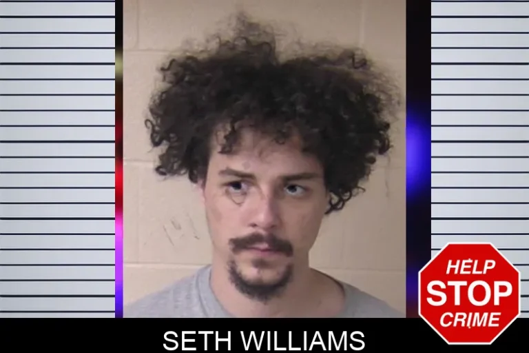 Seth Williams mugshot – Walker County , Georgia Seth Williams