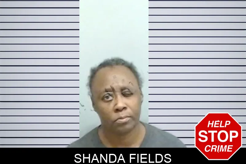 Shanda Fields Mugshots