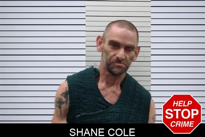Shane Cole Mugshots