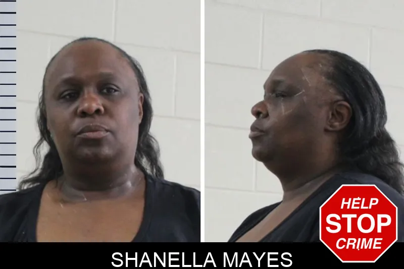 Shanella Mayes Mugshots