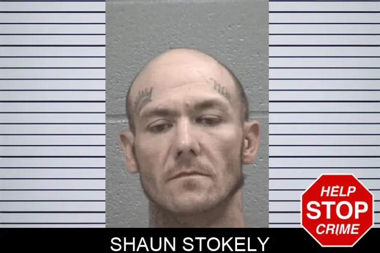 Shaun Stokely