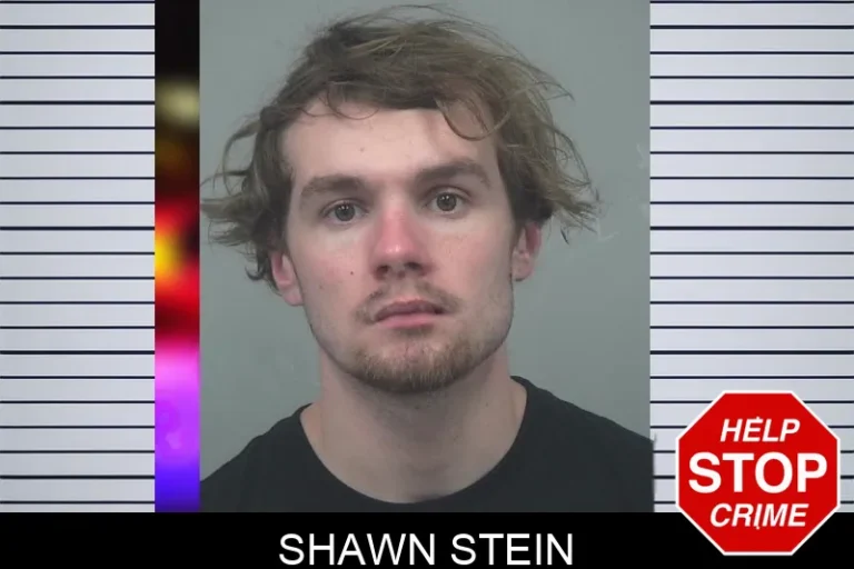 Shawn Stein