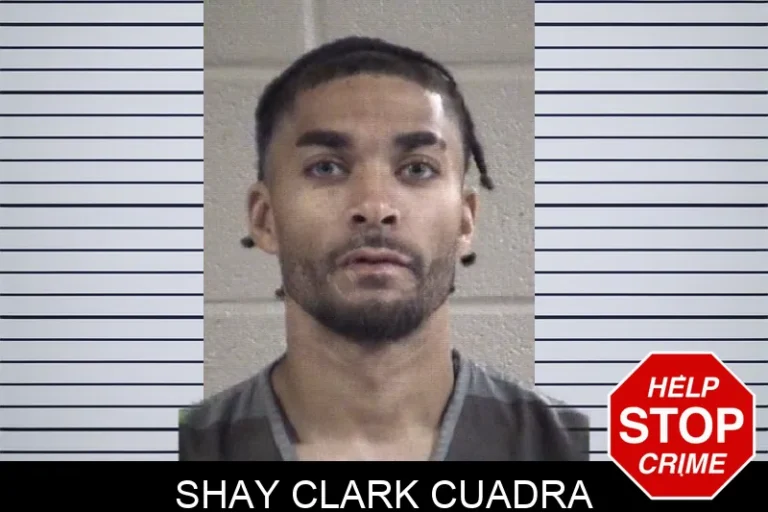 Shay Clark Cuadra