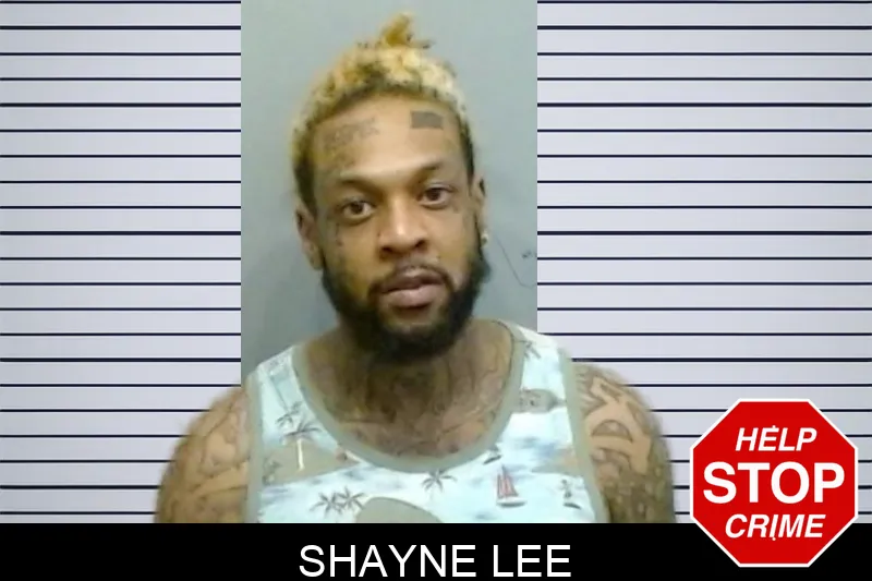 Shayne Lee Mugshots