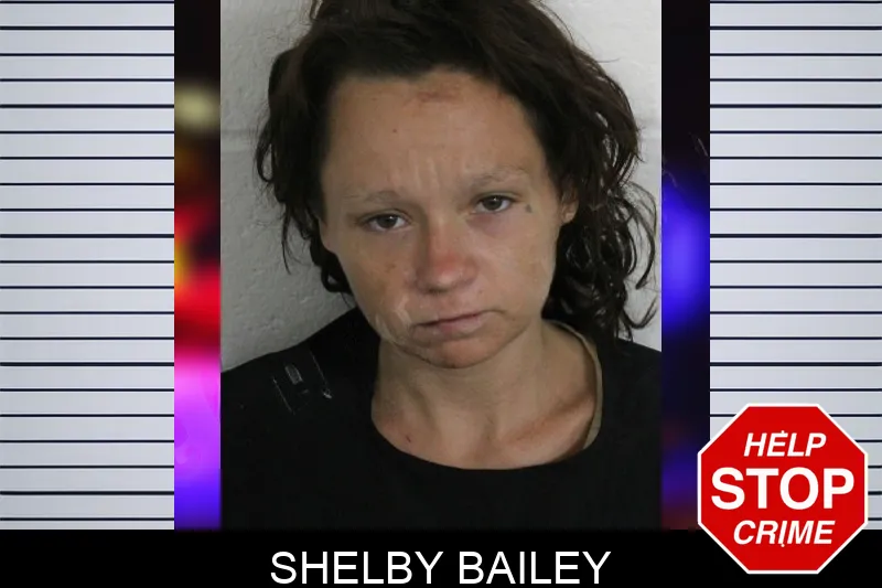 Shelby Bailey Mugshots