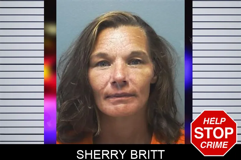 Sherry Britt mugshot