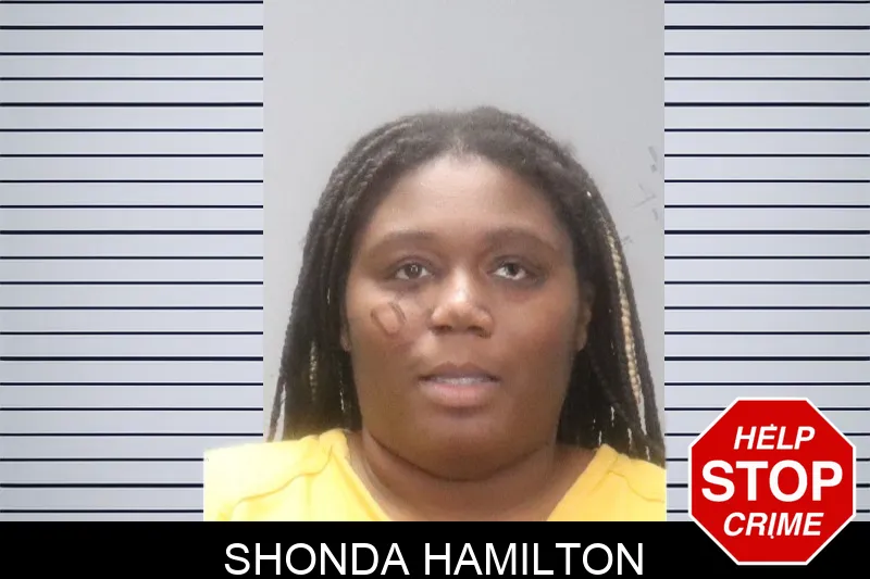Shonda Hamilton Mugshots