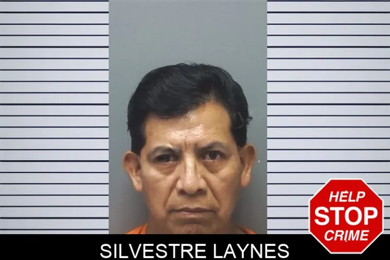 Silvestre Laynes