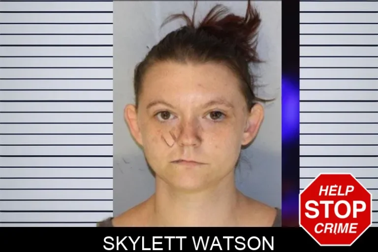 Skylett Watson mugshot – Hall County , Georgia Skylett Watson