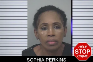 Sophia Perkins mugshot