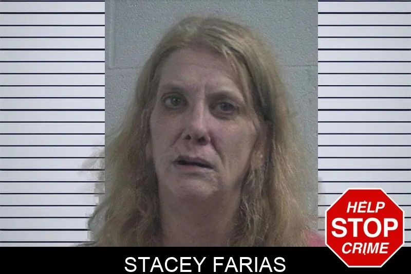 Stacey Farias mugshot – McDuffie County , Georgia Stacey Farias mugshot