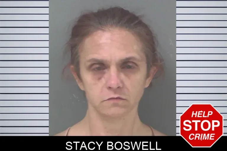 Stacy Boswell mugshot – Douglas County , Georgia Stacy Boswell