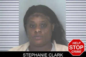Stephanie Clark mugshot