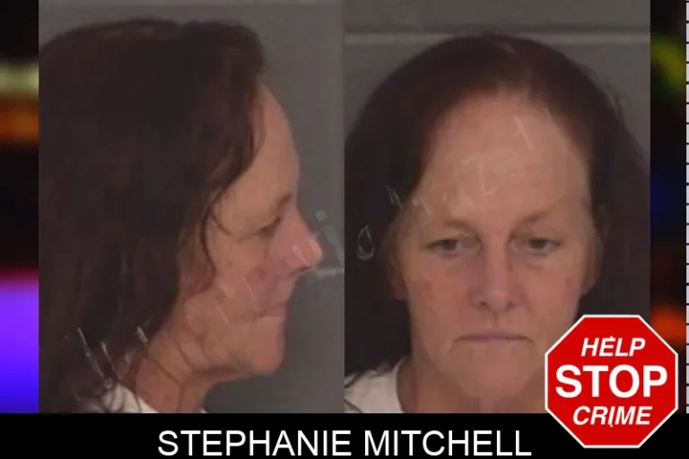 Stephanie Mitchell mugshot – Barrow County , Georgia Stephanie Mitchell