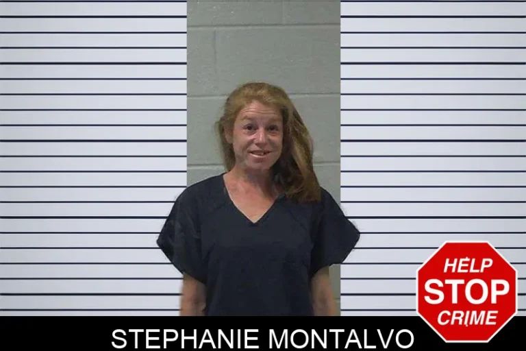 Stephanie Montalvo mugshot – Gilmer County , Georgia Stephanie Montalvo