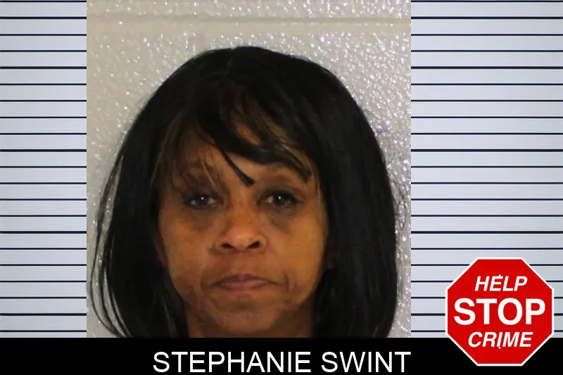 Stephanie Swint Mugshots