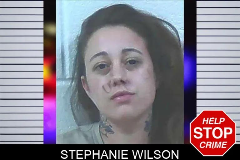 Stephanie Wilson mugshot – Jackson County , Georgia Stephanie Wilson