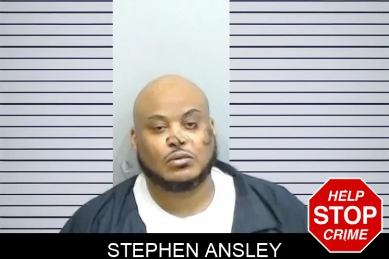 Stephen Ansley mugshot – Fulton County , Georgia Stephen Ansley