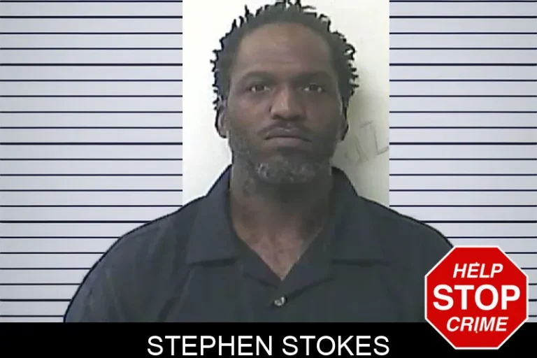 Stephen Stokes