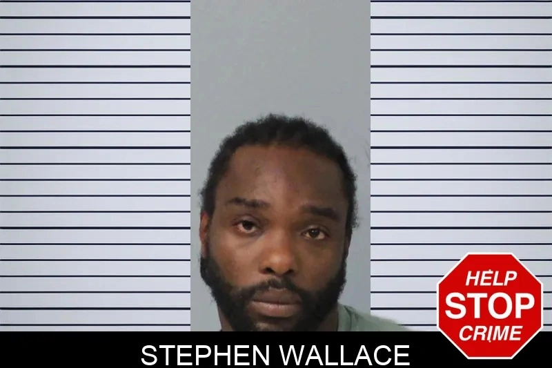 Stephen Wallace Mugshots