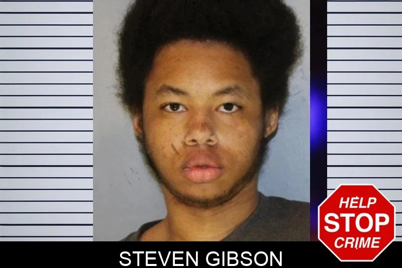 Steven Gibson mugshot