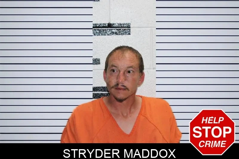 Stryder Maddox Mugshots
